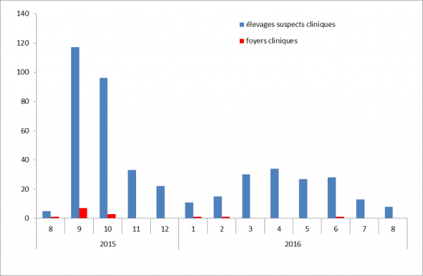 Figure 2: Nombre d’élevages suspects cliniques de FCO par mois déclarés à la DGAL depuis août 2015
