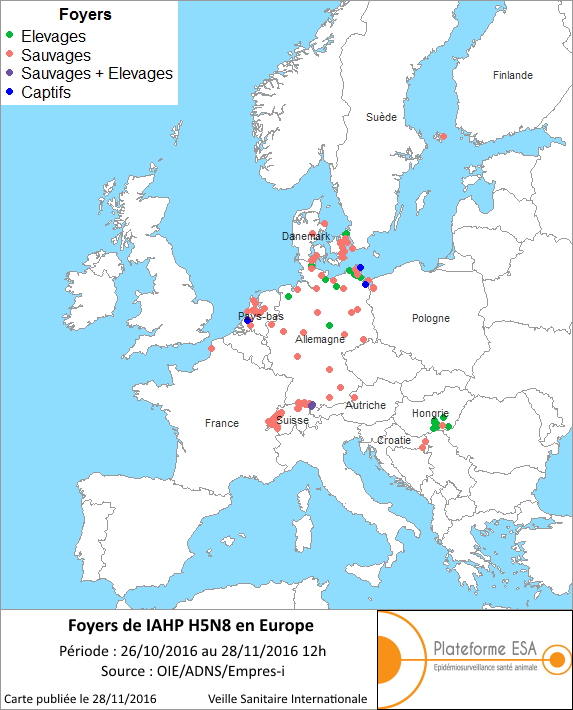 Figure 1 : Carte européenne des foyers et cas d’IAHP H5N8 déclarés entre le 26 octobre 2016 et le 28 novembre 2016 à 12h00 (Source OIE/ADNS).