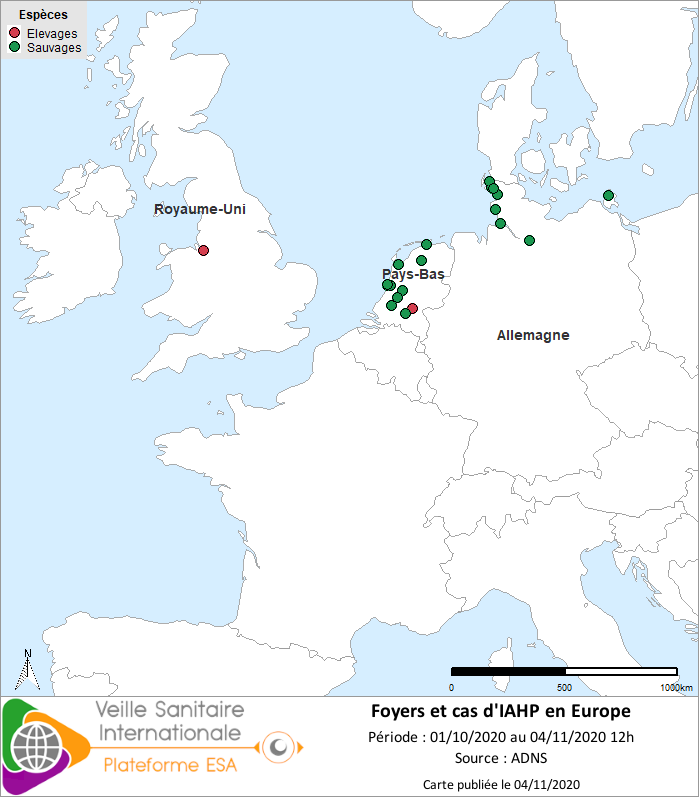 Localisation des cas sauvages et foyers domestiques d’IAHP H5 en Europe confirmés entre le 20/10 et le 04/11/2020