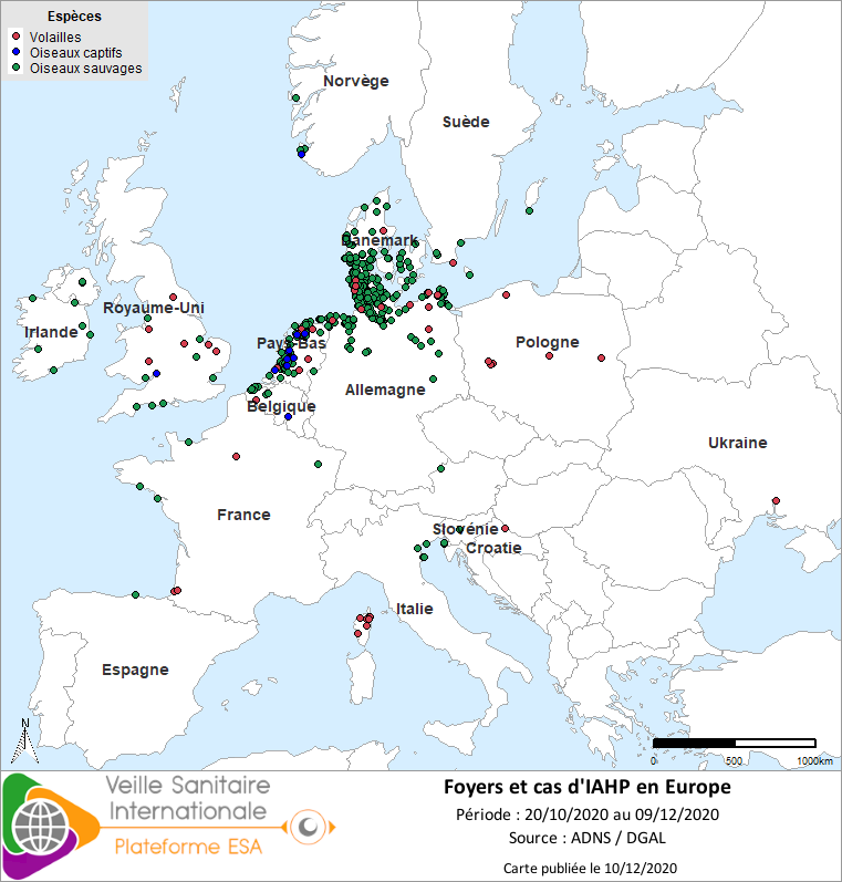 Localisation des cas sauvages et foyers domestiques d’IAHP H5Nx en Europe confirmés entre le 20/10 et le 09/12/2020 inclus