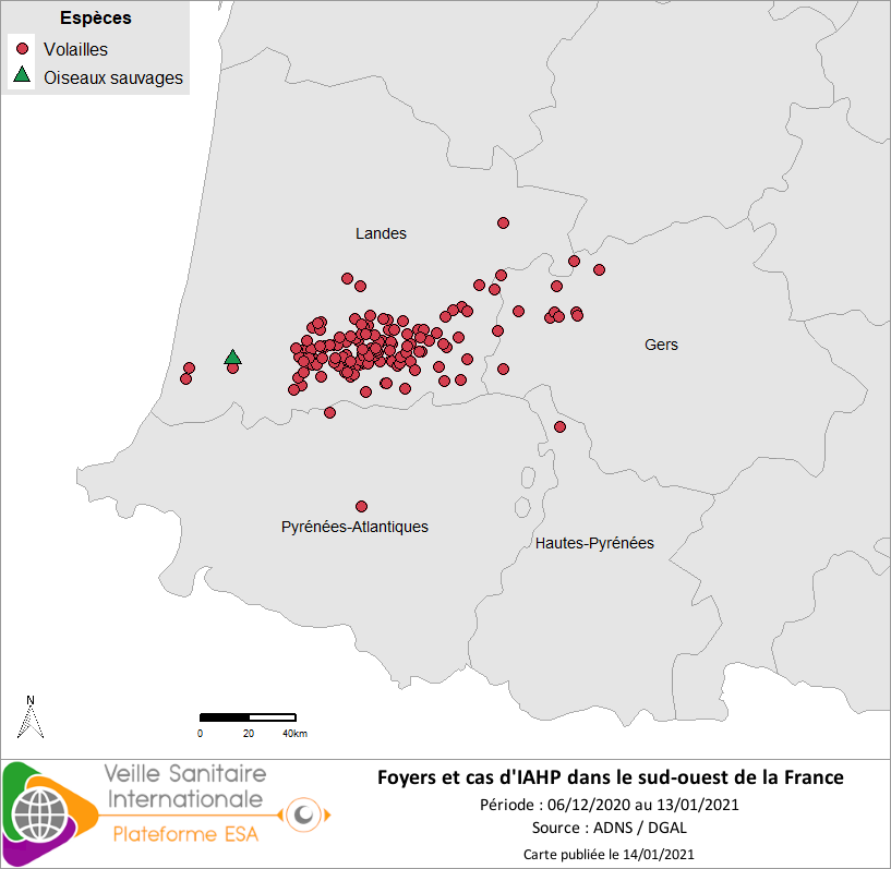 Localisation des cas sauvages et foyers domestiques d’IAHP H5NX en France dans le sud-ouest confirmés entre le 06/12/2020 et le 13/01/2021 inclus