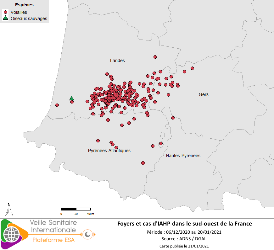Localisation des cas sauvages et foyers domestiques d’IAHP H5NX en France dans le sud-ouest confirmés entre le 06/12/2020 et le 20/01/2021 inclus
