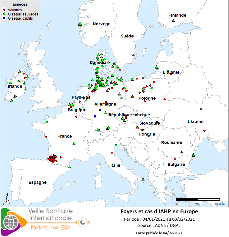 Localisation des cas sauvages et foyers domestiques /captifs d’IAHP H5Nx en Europe confirmés entre le 04/01 et le 03/02/2021 inclus