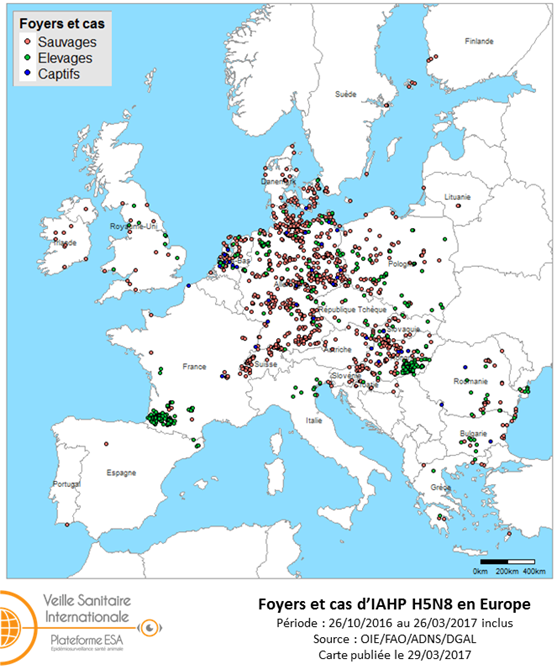Figure 3 : Carte des foyers et de cas d’IAHP H5N8 déclarés dans l’UE et en Suisse entre le 26 octobre 2016 et le 26 mars 2017 inclus (sources : OIE/ADNS/DGAL).