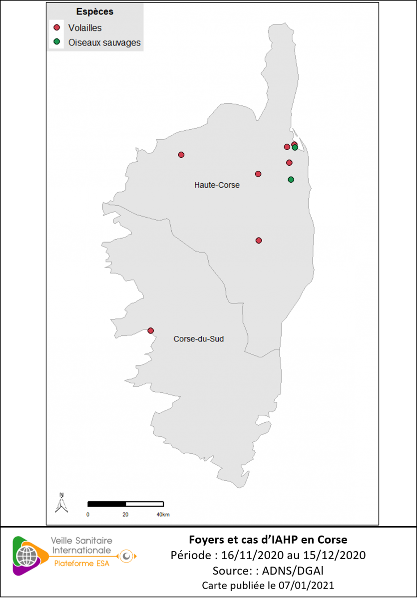 Localisation des cas sauvages et foyers domestiques d’IAHP H5Nx en Corse confirmés entre le 16/11/2020 et le 15/12/2020 inclus