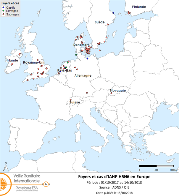Carte des foyers et des cas d’IAHP H5N6 déclarés en Europe du 1er octobre 2017 au 14 octobre 2018 inclus (source : ADNS/OIE)