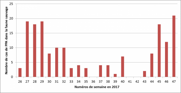 Figure 3 : Nombre de cas de PPA confirmés par semaine en République Tchèque