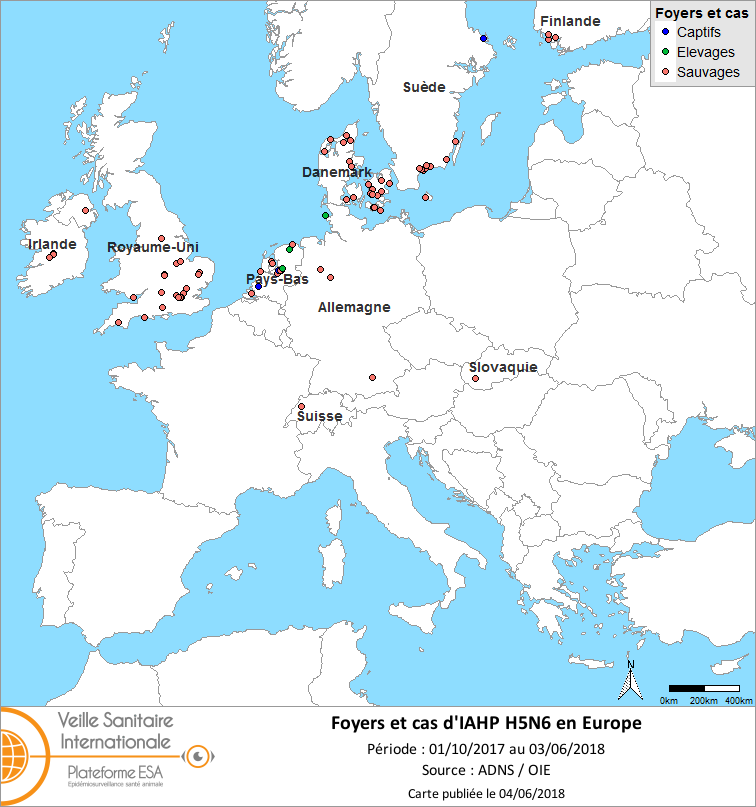 Figure 1. Carte des foyers et des cas d’IAHP H5N6 déclarés en Europe du 1er octobre 2017 au 3 juin 2018 inclus (source : ADNS/OIE)