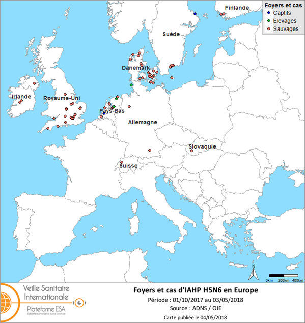 Figure 1 : Carte des foyers et des cas d’IAHP H5N6 déclarés en Europe du 1er octobre 2017 au 3 mai 2018 inclus (source : ADNS/OIE)