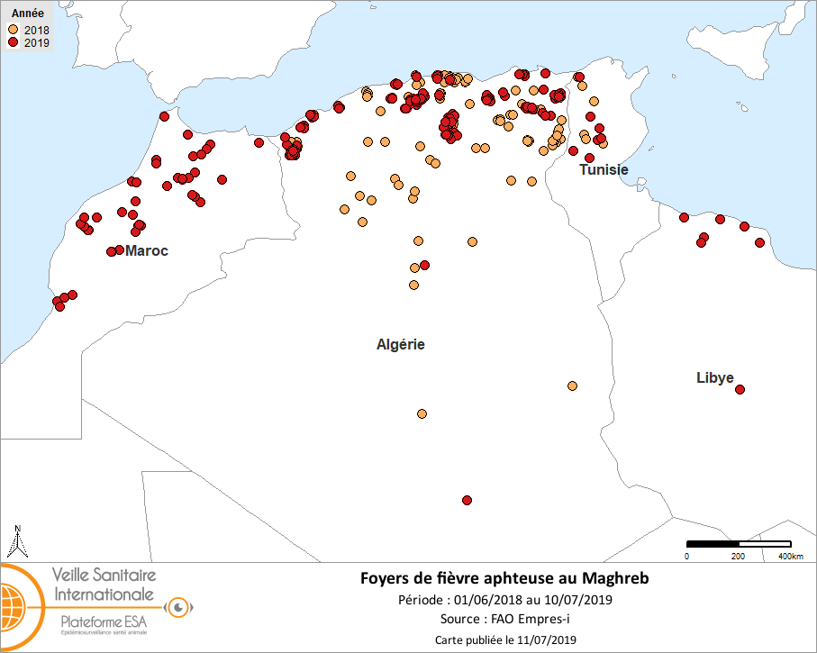 Figure 1. Cartes des foyers de FA dans le Maghreb du 01/06/2018 au 08/07/2019 (bovins, ovins, caprins). Certains foyers se superposent sur la présente carte (source: FAO Empres-i) (pour information : seuls 292 des 317 foyers déclarés par l’Algérie à l’OIE figurent dans la base de données Empres-i de la FAO et donc sur la carte)