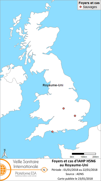 Figure 1: Déclarations d'IAHP H5N6 au sein de l’avifaune sauvage au Royaume-Uni depuis le 1er janvier 2018 (source : ADNS)