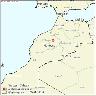 Figure 1. Foyer de fièvre aphteuse déclaré le 10/01/2019 au Maroc (source: OIE)