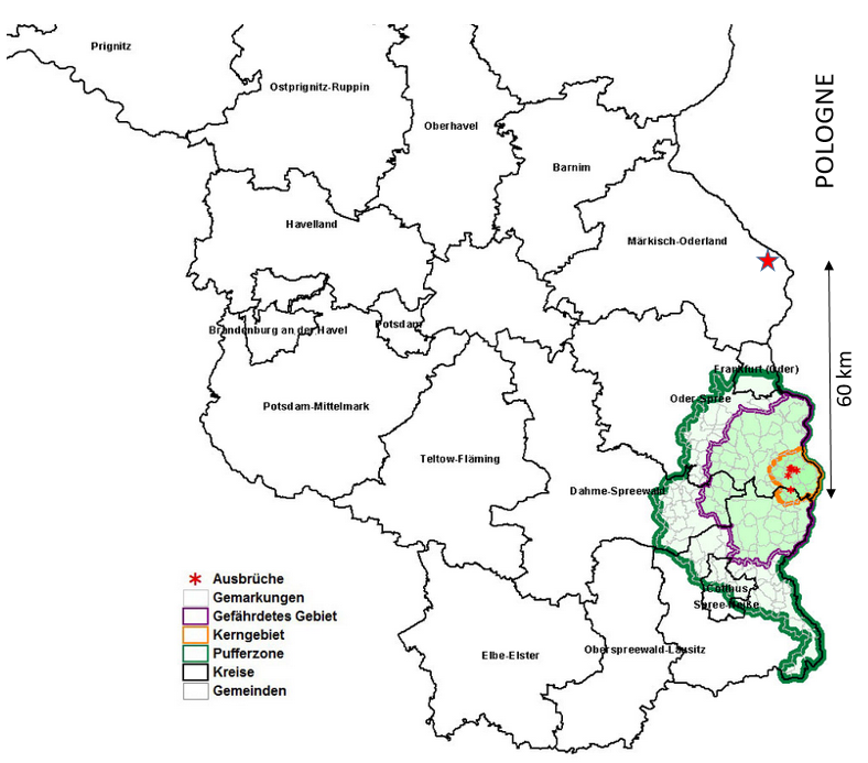 Figure 1. Localisation des cas de PPA en Allemagne et des zones réglementées en vigueur au 30/09/2020 (source : (link is external)site autorités allemandes le 30/09/2020, : localisation approximative du cas déclaré le 30/09/2020)