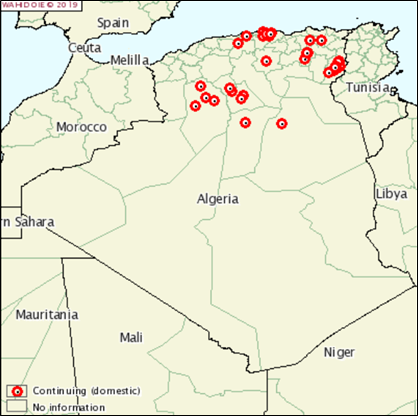Figure 1. Localisation des nouveaux foyers de FA déclarés le 31/12/2018 en Algérie (source: OIE)