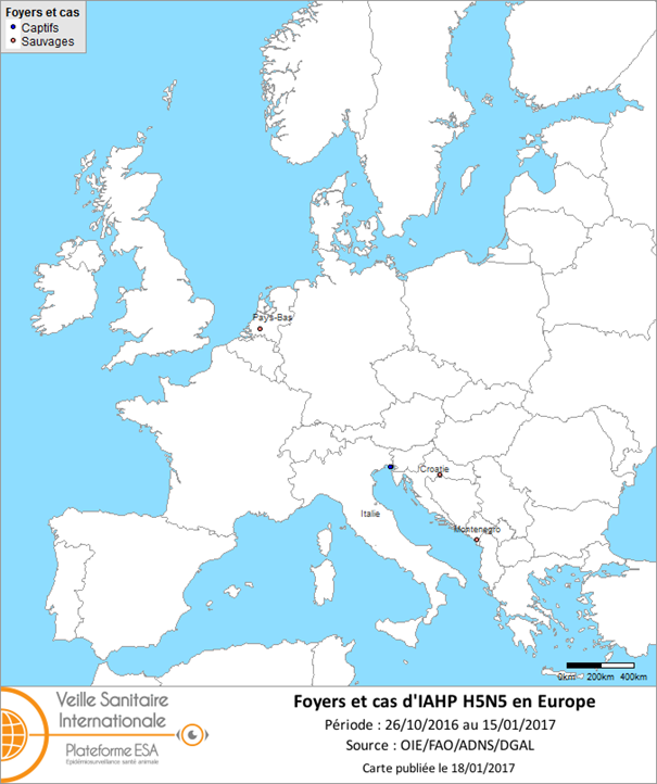 Figure 2 : Carte des foyers et cas d’IAHP H5N5 déclarés dans l’Union européenne entre le 26 octobre 2016 et le 15 janvier 2017 inclus (sources : OIE/ADNS/DGAL).