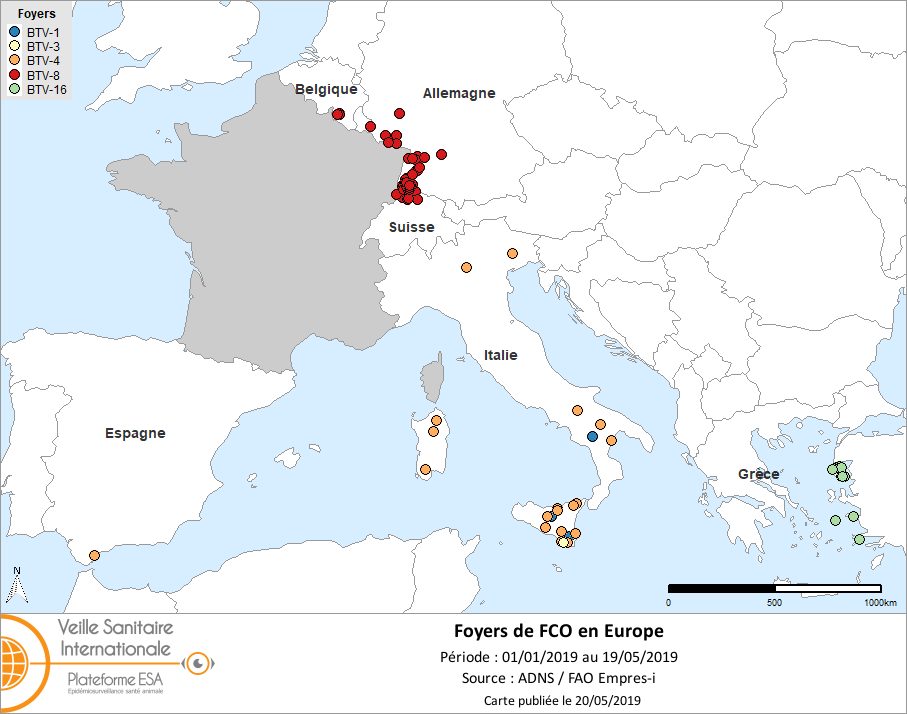 Figure 2. Distribution des foyers de FCO en Europe (hors France) en 2019 du 01/01 au 19/05/2019 (Source : ADNS / FAO Empres-i au 20/05/2019)