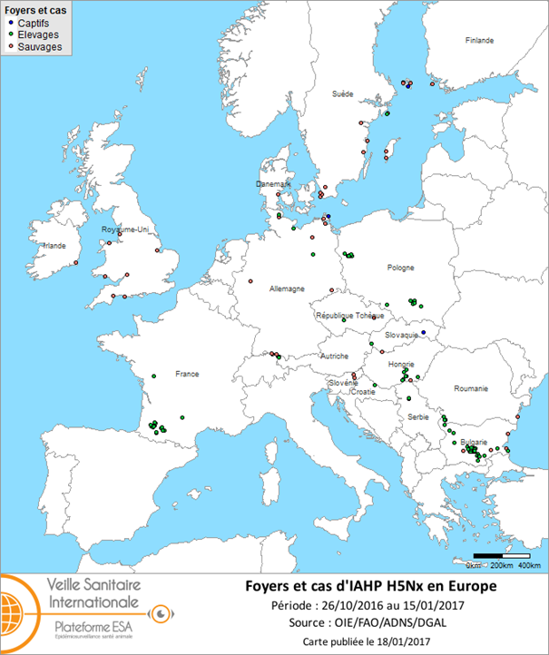 Figure 3 : Carte des foyers et cas d’IAHP H5Nx déclarés dans l’Union européenne entre le 26 octobre 2016 et le 15 janvier 2017 inclus (sources : OIE/ADNS/DGAL).