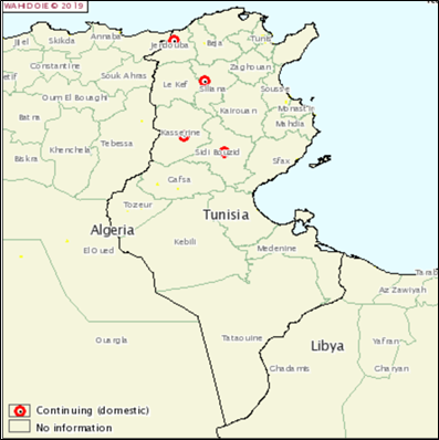 Figure 3. Foyers de FA déclarés en Tunisie le 24/12/2018 (source: OIE)   
