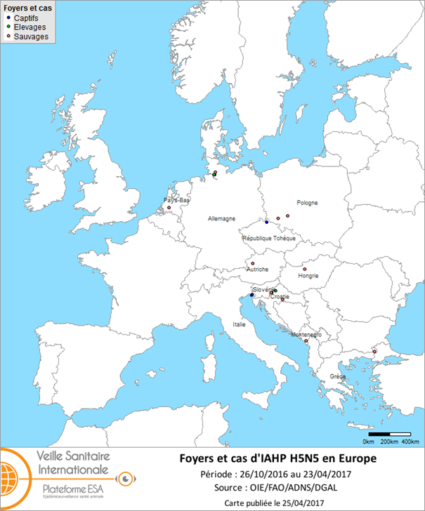 Figure 4 : Carte des foyers et de cas d’IAHP H5N5 déclarés dans l’UE entre le 26 octobre 2016 et le 23 avril 2017 inclus (sources : OIE/ADNS/DGAL).