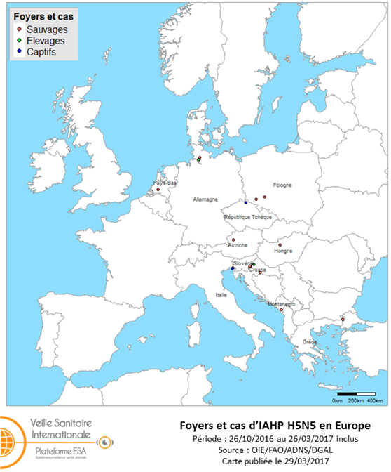 Figure 4 : Carte des foyers et de cas d’IAHP H5N5 déclarés dans l’UE entre le 26 octobre 2016 et le 26 mars 2017 inclus (sources : OIE/ADNS/DGAL).