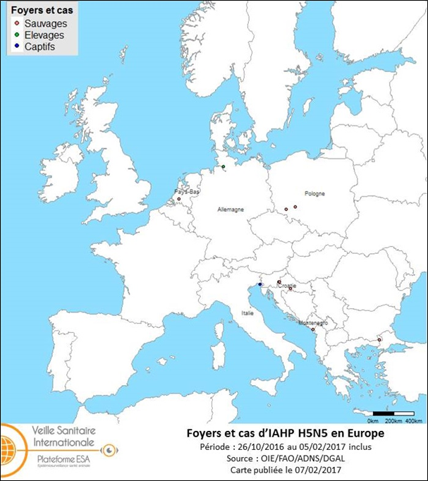 Figure 4 : Carte des foyers et de cas d’IAHP H5N5 déclarés dans l’UE entre le 26 octobre 2016 et le 5 février 2017 inclus (sources : OIE/ADNS/DGAL).
