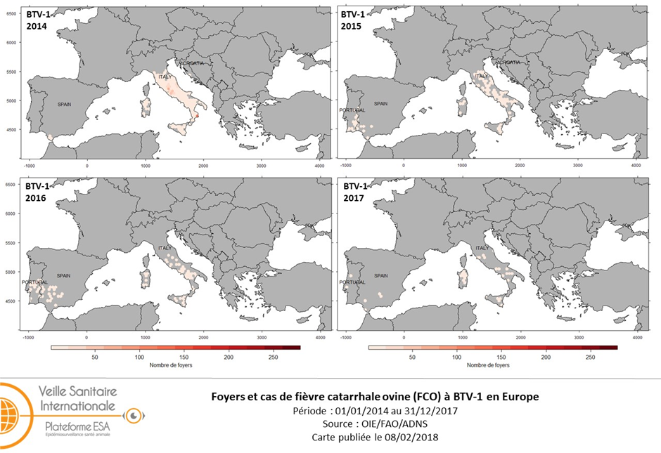 Figure 4: Evolution des foyers de FCO BTV-1 en Europe de 2014 à 2017 (sources : ADNS/Empres-i)