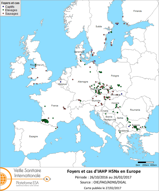 Figure 5 : Carte des foyers et de cas d’IAHP H5Nx déclarés dans l’UE entre le 26 octobre 2016 et le 26 février 2017 inclus (sources : OIE/ADNS/DGAL).