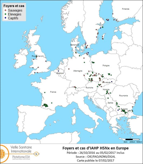 Figure 5 : Carte des foyers et de cas d’IAHP H5Nx déclarés dans l’UE entre le 26 octobre 2016 et le 5 février 2017 inclus (sources : OIE/ADNS/DGAL).