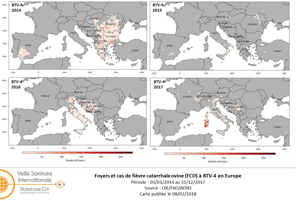 Figure 5: Evolution des foyers de FCO BTV-4 en Europe de 2014 à 2017 (sources : ADNS/FAO Empres-i)