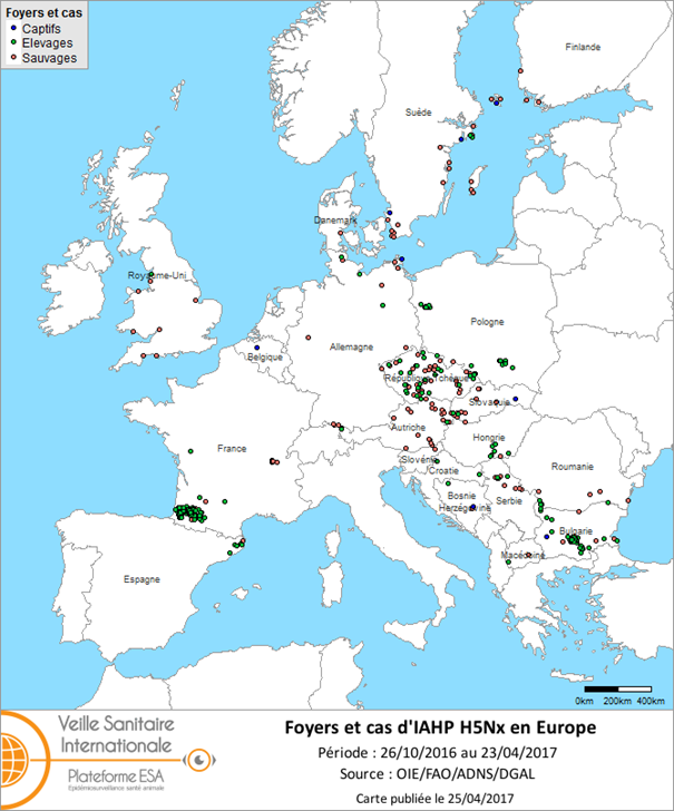 Figure 6 : Carte des foyers et de cas d’IAHP H5Nx déclarés dans l’UE entre le 26 octobre 2016 et le 23 avril 2017 inclus (sources : OIE/ADNS/DGAL).