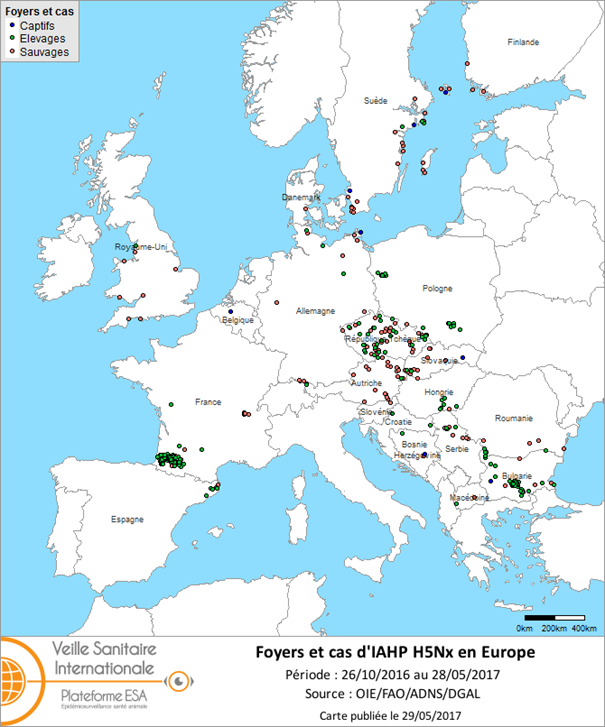 Figure 6 : Carte des foyers et de cas d’IAHP H5Nx déclarés dans l’UE entre le 26 octobre 2016 et le 28 mai 2017 inclus (sources : OIE/ADNS/DGAL).