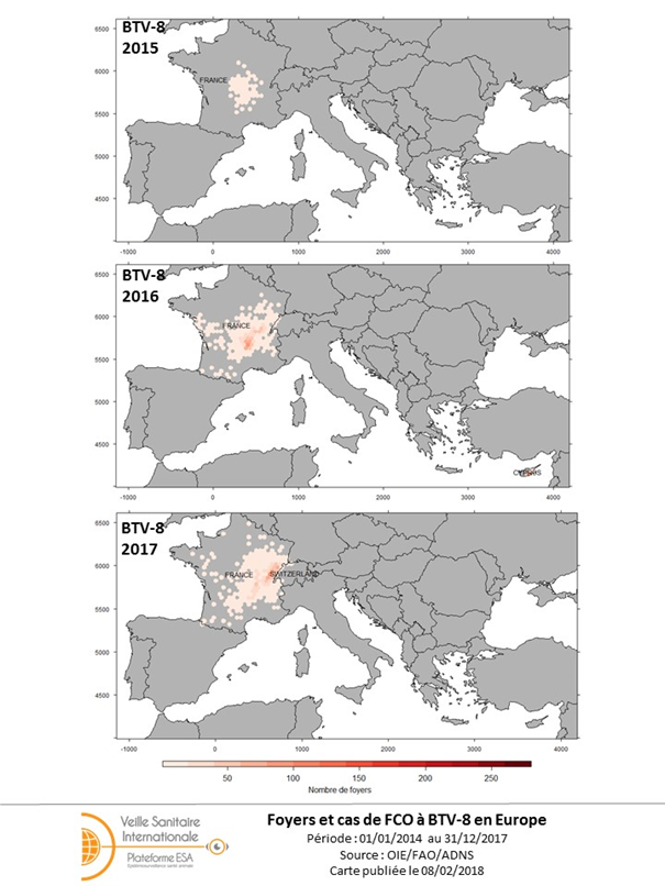 Figure 6: Evolution des foyers de FCO BTV-8 en Europe de 2014 à 2017 (sources : ADNS/FAO Empres-i)