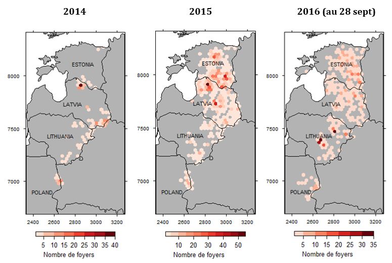 Figure 1 : Evolution des foyers de peste porcine africaine (PPA) chez les porcs domestiques et les sangliers sauvages en Europe de janvier 2014 à septembre 2016 