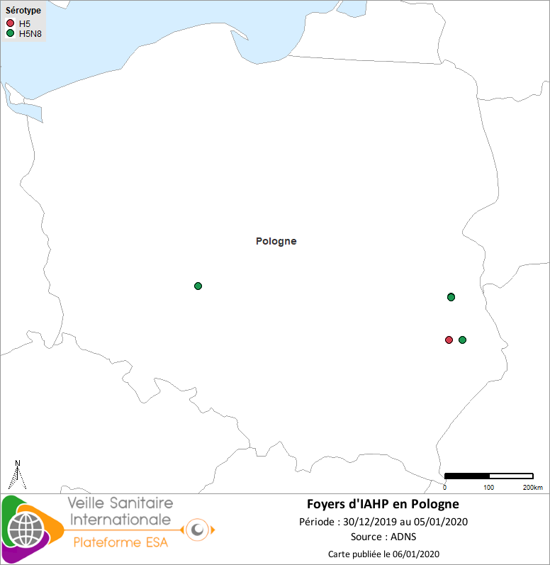 Foyers d’IAHP confirmés en Pologne (n=7 dont quatre points superposés dans le même village de Voïvidie à l’est du pays) au 05/01/2020 (source : Commission européenne ADNS au 06/01/2020)