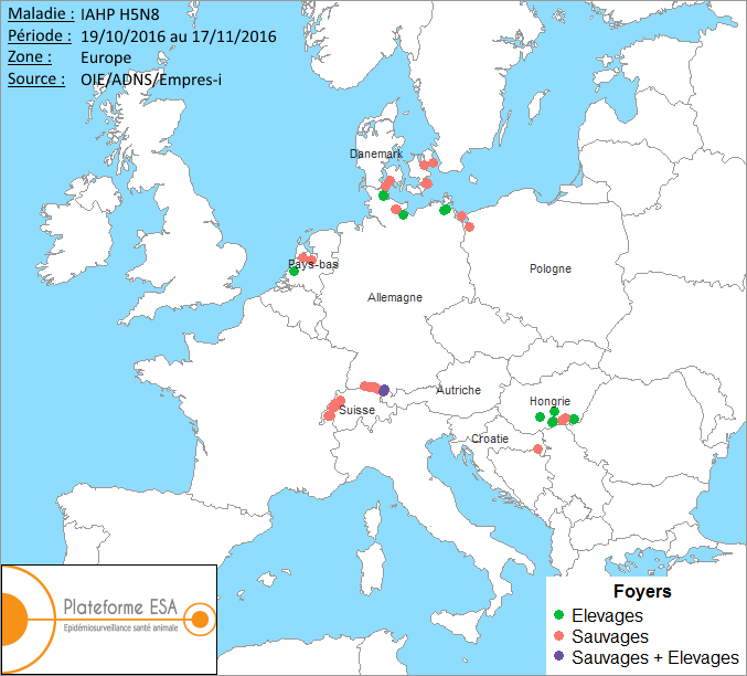 Figure 1 : Carte européenne des foyers et cas d’IAHP H5N8 déclarés en octobre - novembre 2016 (situation au 17 novembre 2016 - source OIE/ADNS/Empres-i).