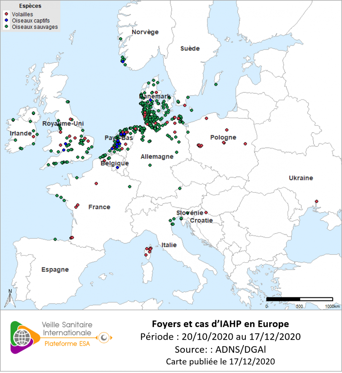 Localisation des cas sauvages et foyers domestiques d’IAHP H5Nx en Europe confirmés entre le 20/10 et le 16/12/2020 inclus 