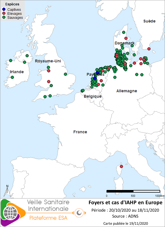 Localisation des cas sauvages et foyers domestiques d’IAHP H5Nx en Europe