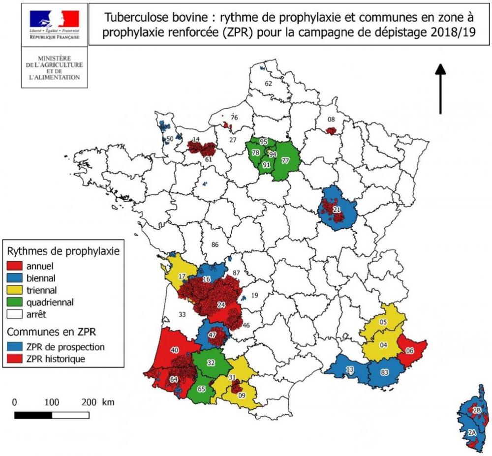 Tuberculose bovine carte des rythmes départementaux et des zones de prophylaxie renforcée