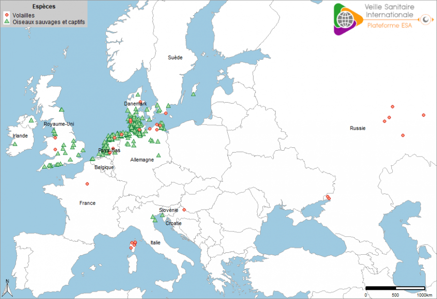 Localisation des cas en avifaune sauvage et foyers domestiques d’IAHP en Europe ayant débuté pendant les quatre semaines