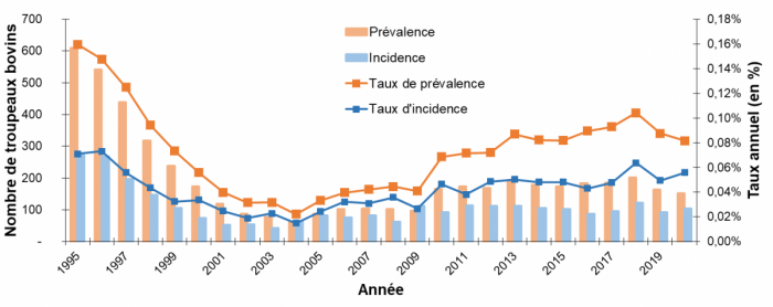 Evolution de la prévalence et de l’incidence de la tuberculose bovine de 1995 à 2020 en France métropolitaine