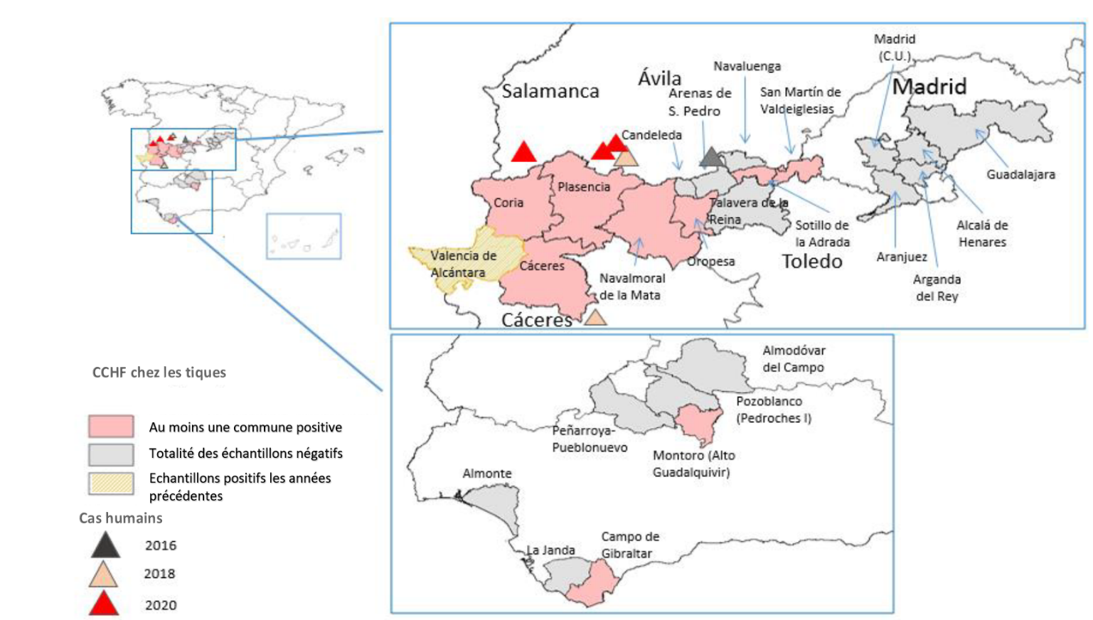Localisation estimée des cas humains de CCHF en Espagne