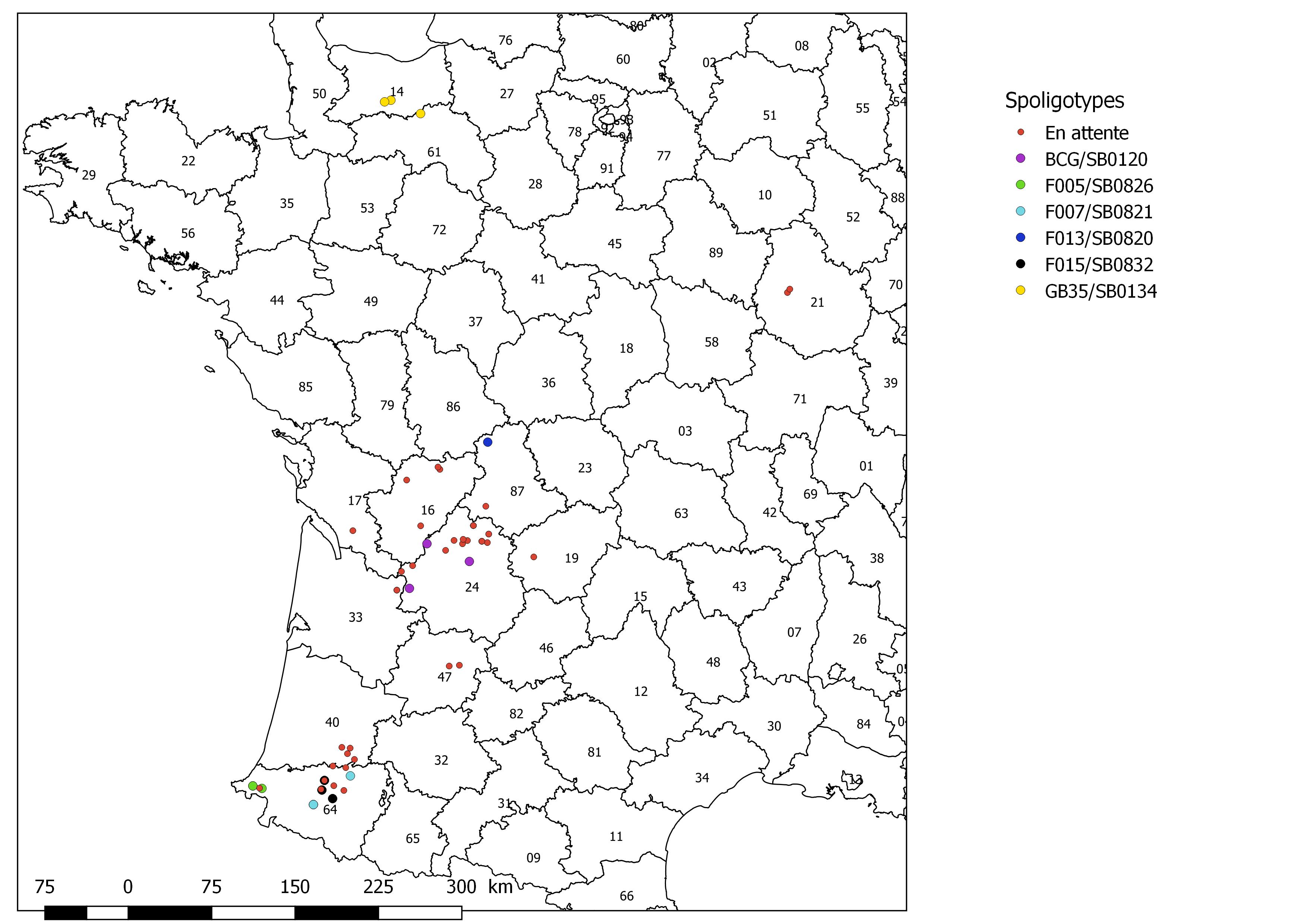 Figure 4 – Distribution géographique des spoligotypes des foyers bovins de tuberculose à M. Bovis en France métropolitaine