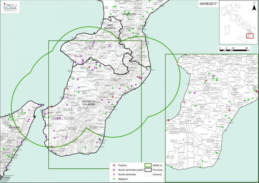 La zone étendue de 30 km pour la surveillance de A. tumida en Calabria
