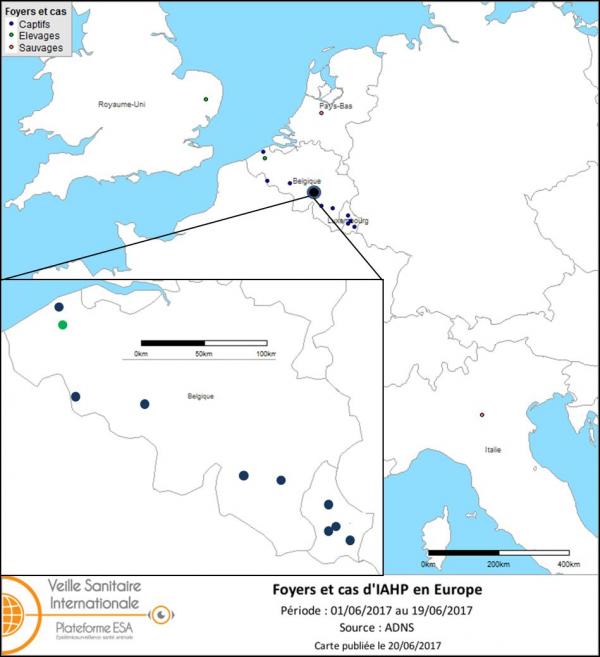 Figure : Carte des foyers et de cas d’IAHP H5 déclarés en Europe