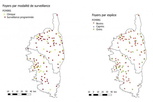 Figure 1 Distribution géographique des foyers de FCO notifiés en Corse