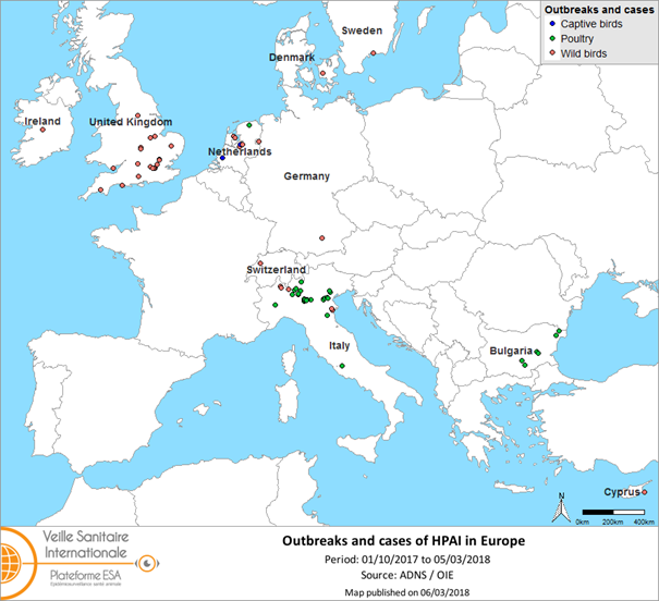Figure 1. Map of HPAI H5 outbreaks and cases notified in Europe