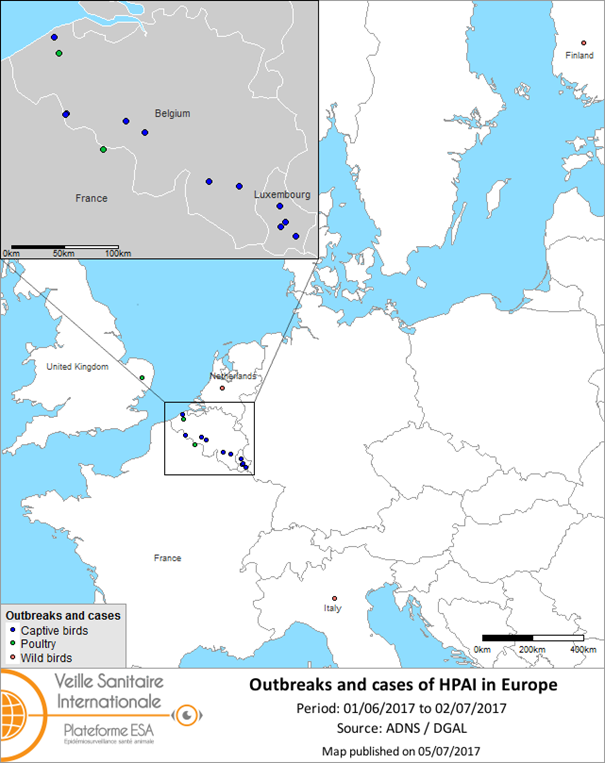 Map of HPAI outbreaks and cases notified in Europe