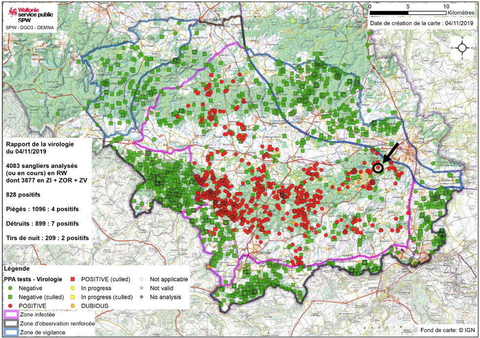 Figure 1. Localisation des sangliers prélevés en Belgique du 13/09/2018 au 04/11/2019