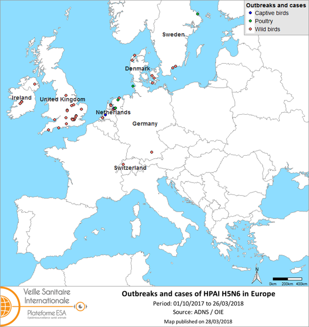 Figure 1: Map of HPAI H5N6 outbreaks and cases notified in Europe