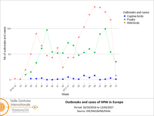 Number of outbreaks and cases of HPAI in Europe 